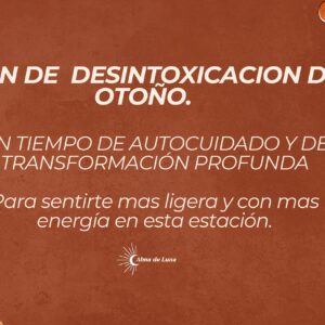 Plan desintoxicación otoño